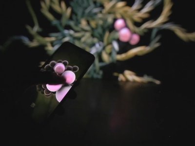 Arizona phone interaction