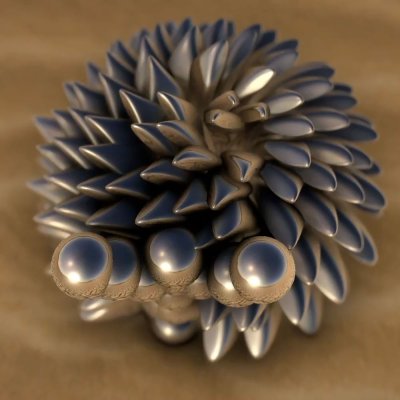 Desert Anemones interaction