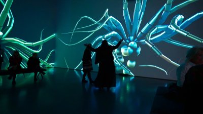 The Nordic Ocean Series